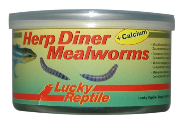 1893723 herp diner mealworms 35 g