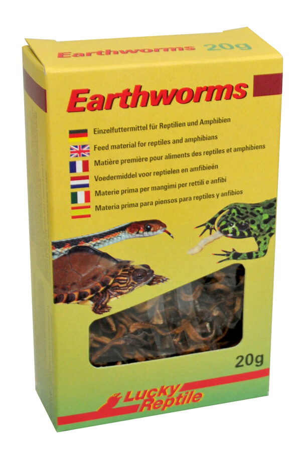 1924463 earthworms 20g