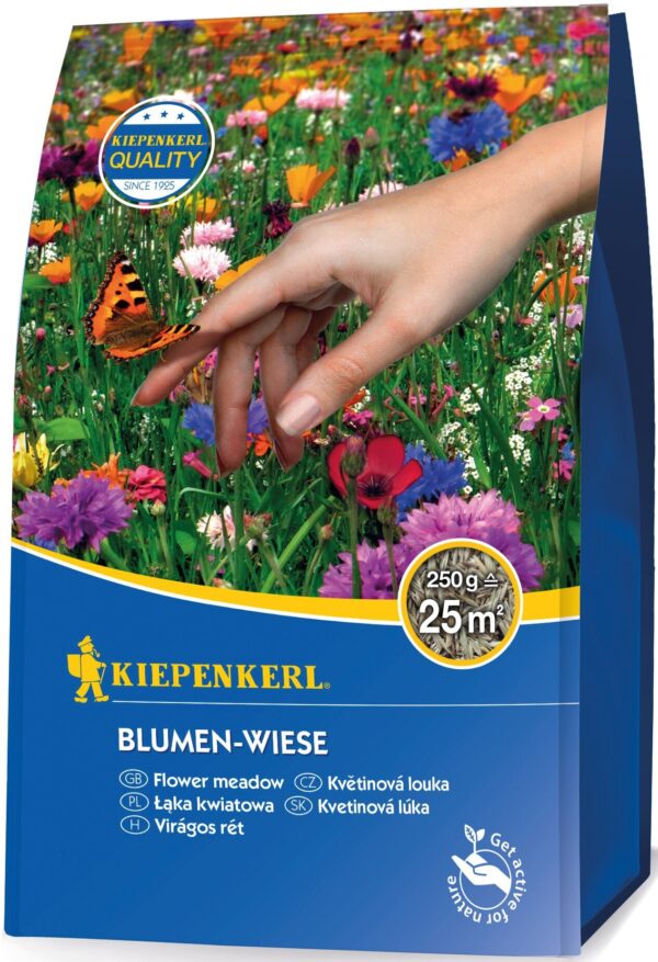 2008201 blumen wiese