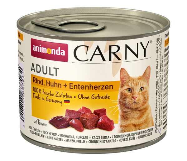 2021305 cat carny adult