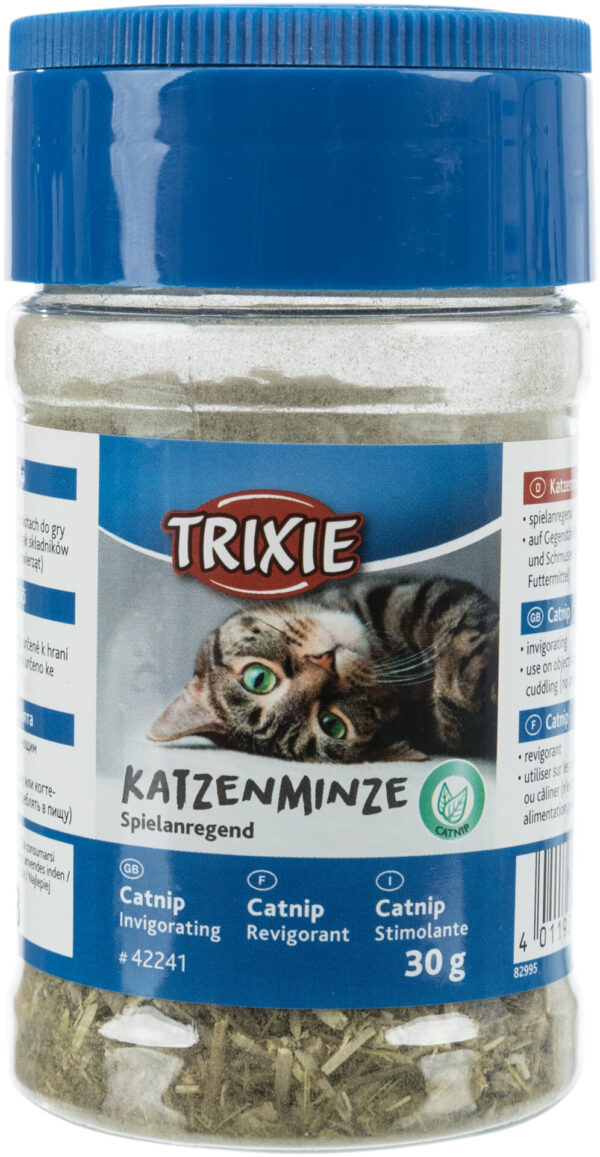 2021718 katzenminze