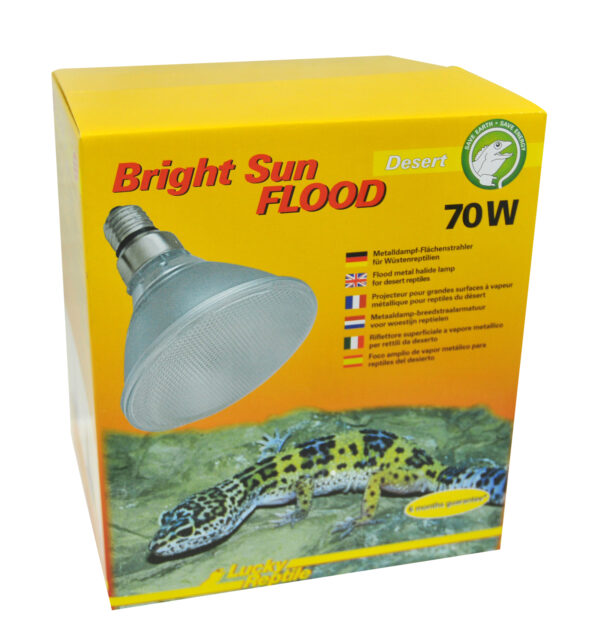 2057706 bright sun flood desert 70 w