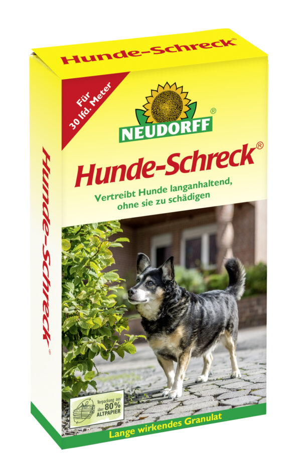 2156617 hunde schreck