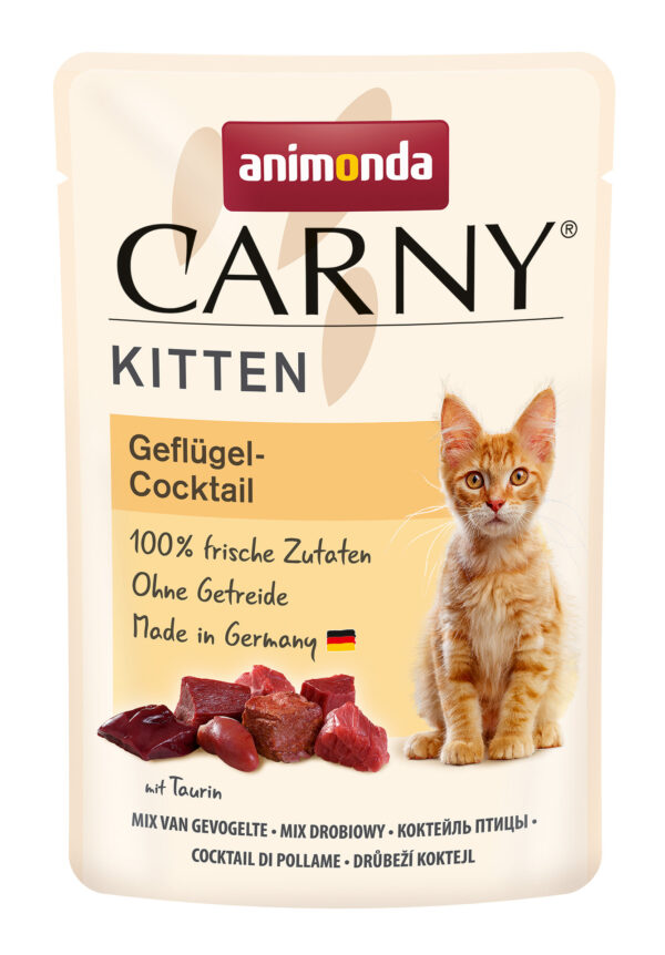 2243627 cat carny kitten 85g