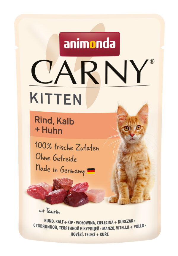 2243628 cat carny kitten 85g