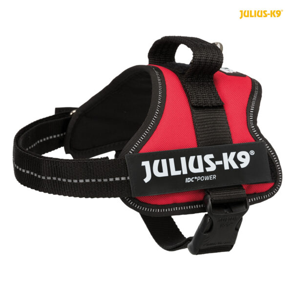 Julius-K9 Powergeschirr Baby 1–Mini