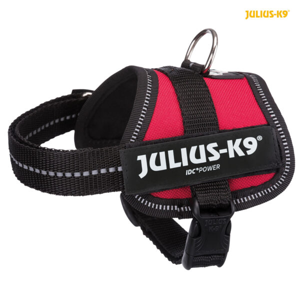 Julius-K9 Powergeschirr Baby 1–Mini