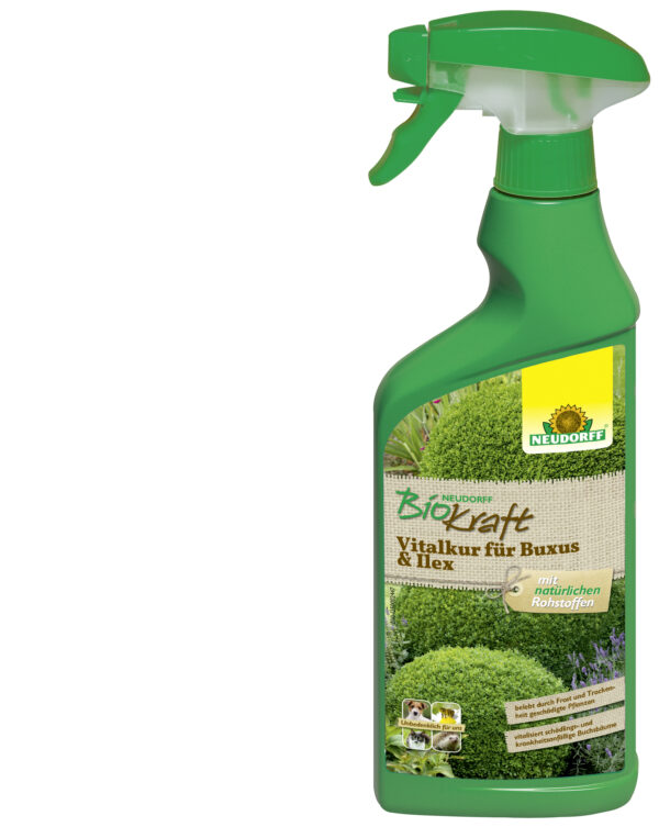 BioKraft Vitalkur für Buxus und Ilex anwendungsfertig 500ml