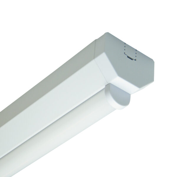 LED Wand- und Deckenleuchte Basic IP20