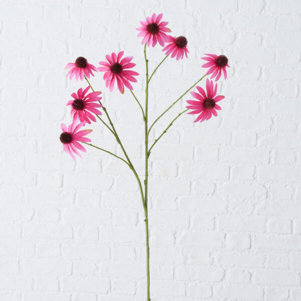 Stielblume Rudbeckia