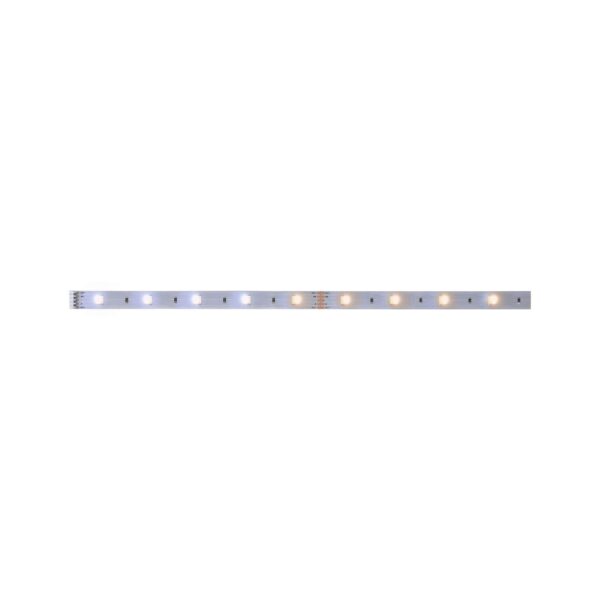 MaxLED 250 LED Strip