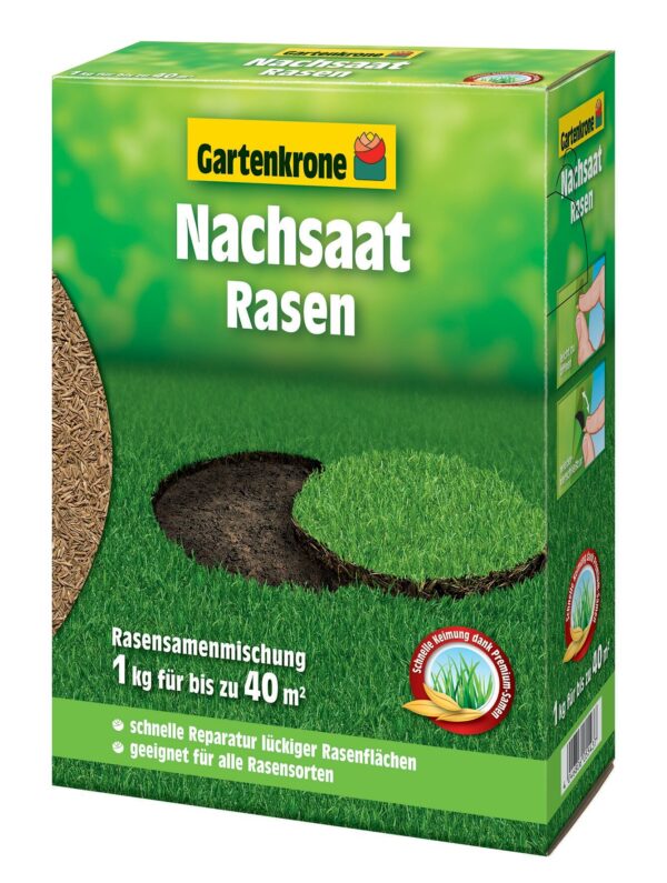 Nachsaatrasen